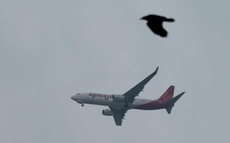 DGCA issues guidelines to prevent bird attacks at airports