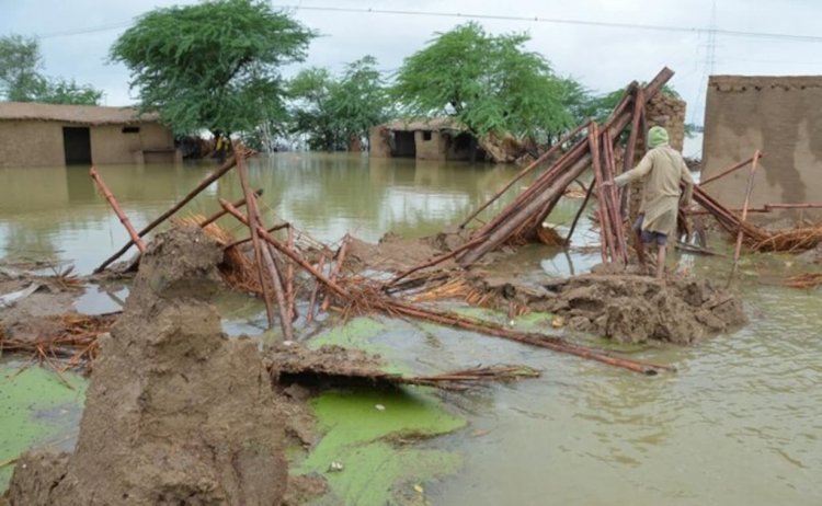 More than half of Pakistan submerged in floods; Declared national emergency