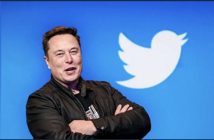 "Just Killed It": Elon Musk On Twitter's 'Official' Tag, Hours After Launch
