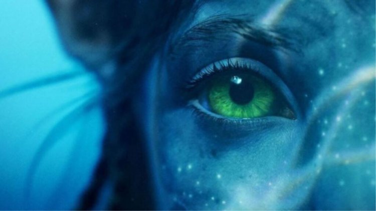 Avatar 2 release date, cast, trailer and all you need to know about The Way of Water