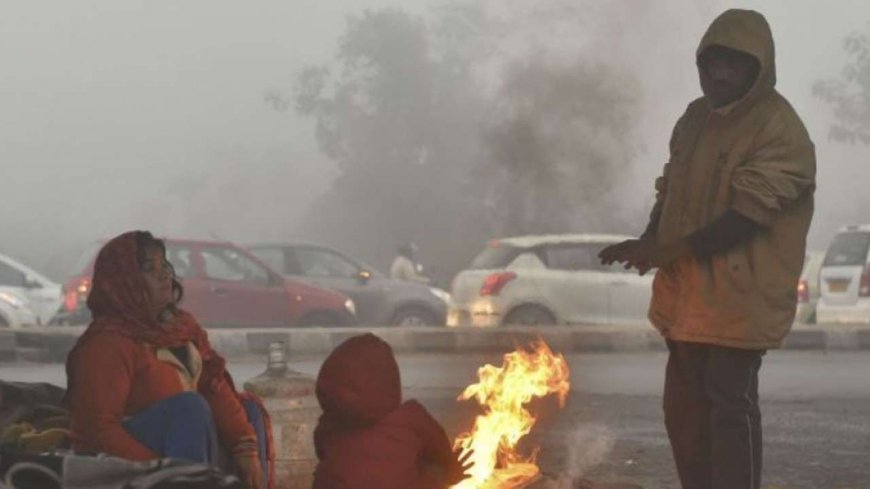 Winter in North India: Severe cold and dense fog in Delhi, Punjab, Haryana, IMD issues alert