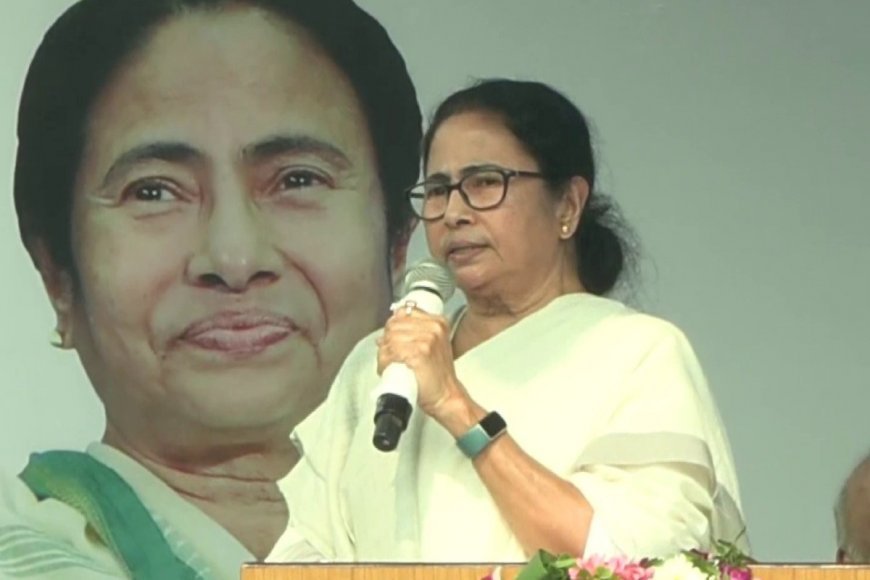 'Take our everything but don't sell the country', Mamata Banerjee's big attack on the central government