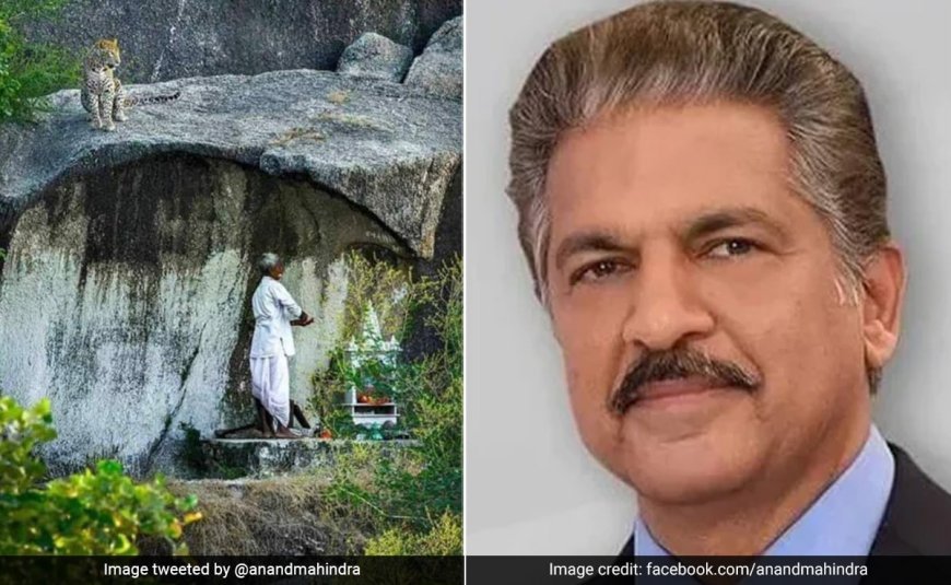 Anand Mahindra's Tweet on Fearless Old Man During Puja Goes Viral