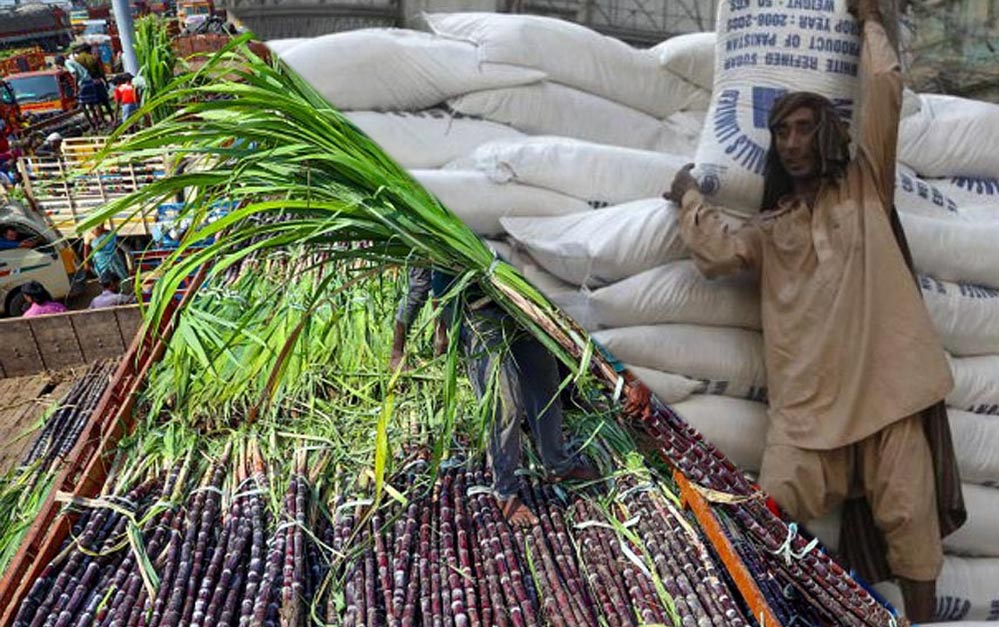 अल-नीनो और इथेनॉल की दोहरी मार! भारत के चीनी एक्सपोर्ट पर कई साल तक लग सकता है ब्रेक..