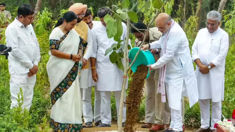 दिल्ली के रिज क्षेत्र की बदलेगी तस्वीर, 70 लाख पौधों से बनेगा राजधानी का हरित फेफड़ा दिल्ली के रिज क्षेत्र की बदलेगी तस्वीर, 70 लाख पौधों से बनेगा राजधानी का हरित फेफड़ा