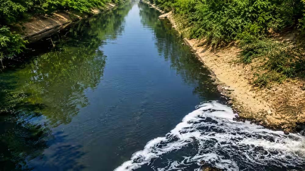 नजफगढ़ ड्रेन का गंदा पानी साफ करने को सरकार बनाएगी 29 नए डीएसटीपी प्लांट जल्द नजफगढ़ ड्रेन का गंदा पानी साफ करने को सरकार बनाएगी 29 नए डीएसटीपी प्लांट जल्द