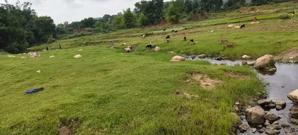 कम बारिश से बरवाडीह में बालू संकट की आहट, नदियों में नहीं हुआ प्राकृतिक पुनर्भरण कम बारिश से बरवाडीह में बालू संकट की आहट, नदियों में नहीं हुआ प्राकृतिक पुनर्भरण