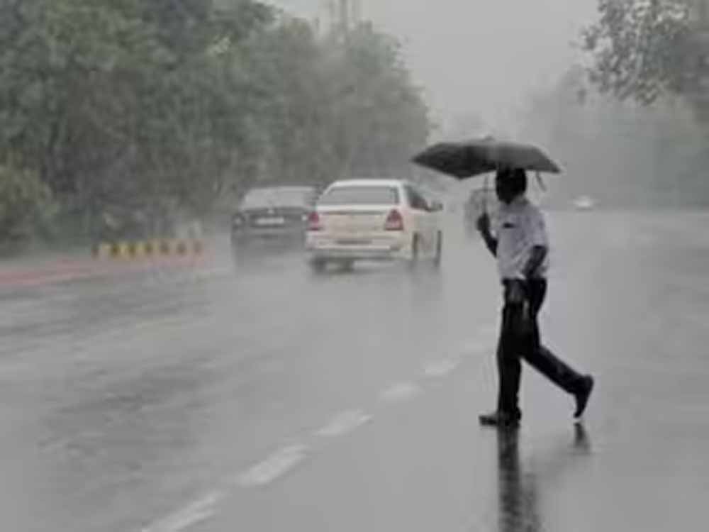 छत्तीसगढ़ में मानसून होगा और सक्रिय, अगले 24 घंटे भारी बारिश का अलर्ट जारी छत्तीसगढ़ में मानसून होगा और सक्रिय, अगले 24 घंटे भारी बारिश का अलर्ट जारी