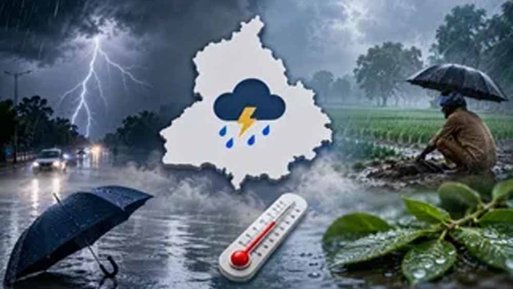 Punjab Weather: उत्तर और मध्य जिलों में 4 दिन बारिश का अलर्ट, दक्षिण-पश्चिम में उमस करेगी परेशान Punjab Weather: उत्तर और मध्य जिलों में 4 दिन बारिश का अलर्ट, दक्षिण-पश्चिम में उमस करेगी परेशान