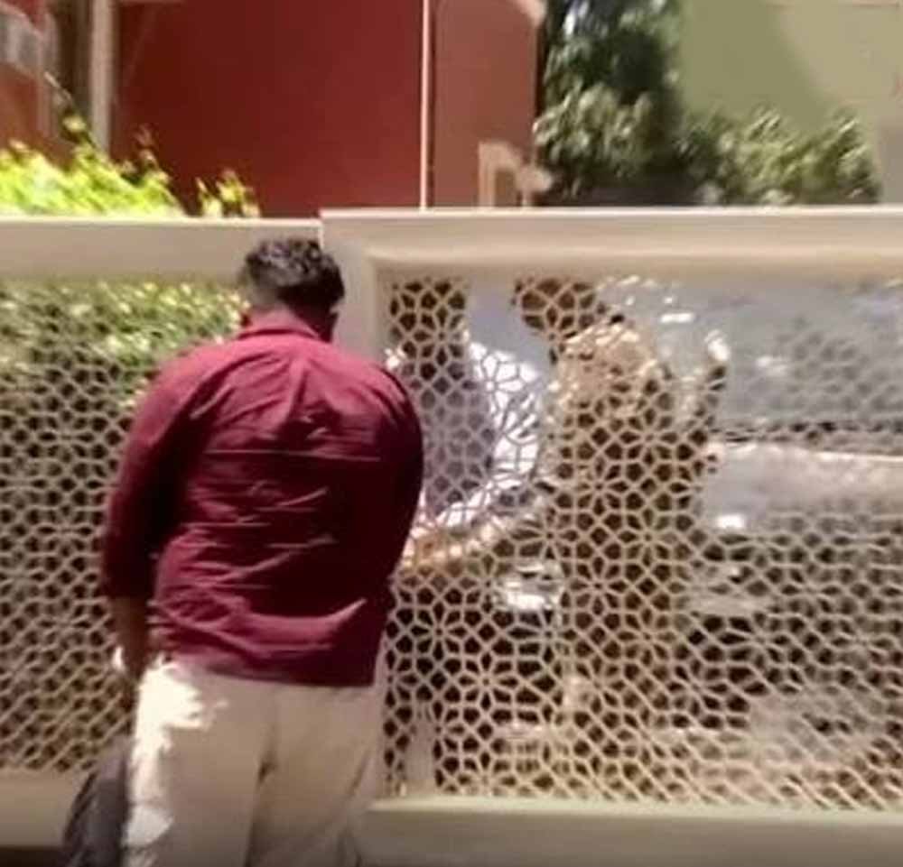 फिरोजपुर में प्रॉपर्टी डीलर के घर ED की बड़ी कार्रवाई, सुबह से बंद दरवाजों के भीतर चल रही रेड फिरोजपुर में प्रॉपर्टी डीलर के घर ED की बड़ी कार्रवाई, सुबह से बंद दरवाजों के भीतर चल रही रेड