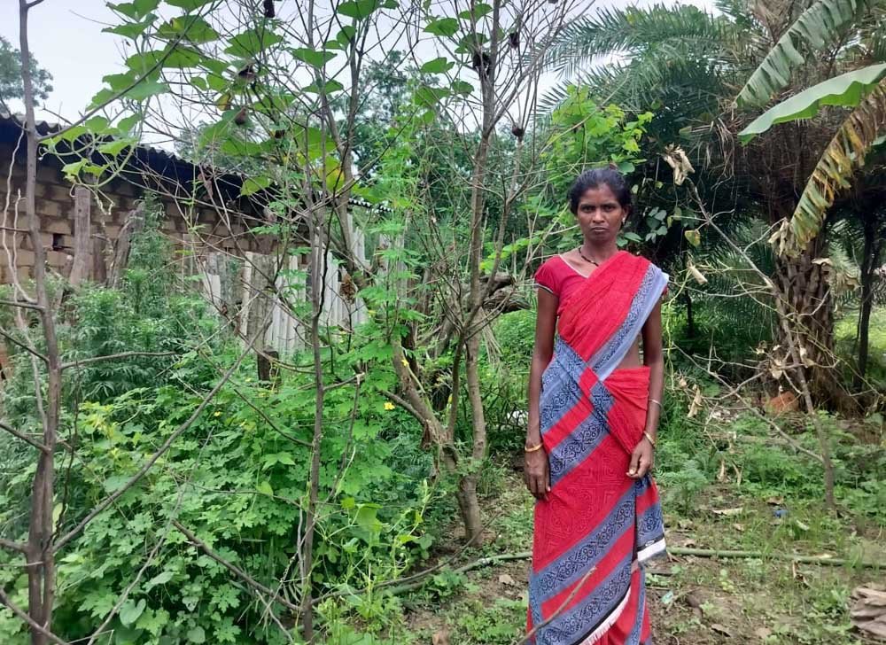 किचन गार्डन से आत्मनिर्भर बन रहीं बिहान की दीदियां किचन गार्डन से आत्मनिर्भर बन रहीं बिहान की दीदियां