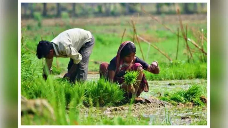 झारखंड में किसानों के लिए बड़ा फैसला, भूमि संरक्षण योजनाओं पर मंत्री ने दिखाई सख्ती झारखंड में किसानों के लिए बड़ा फैसला, भूमि संरक्षण योजनाओं पर मंत्री ने दिखाई सख्ती