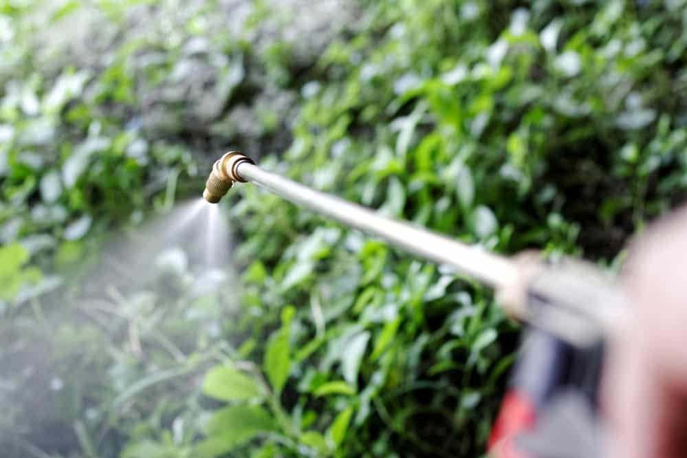 चीन की चाल नाकाम! केंद्र ने ‘कैंसर के खतरे’ वाले हर्बिसाइड पर लगाया बैन, किसानों के लिए बड़ा फैसला