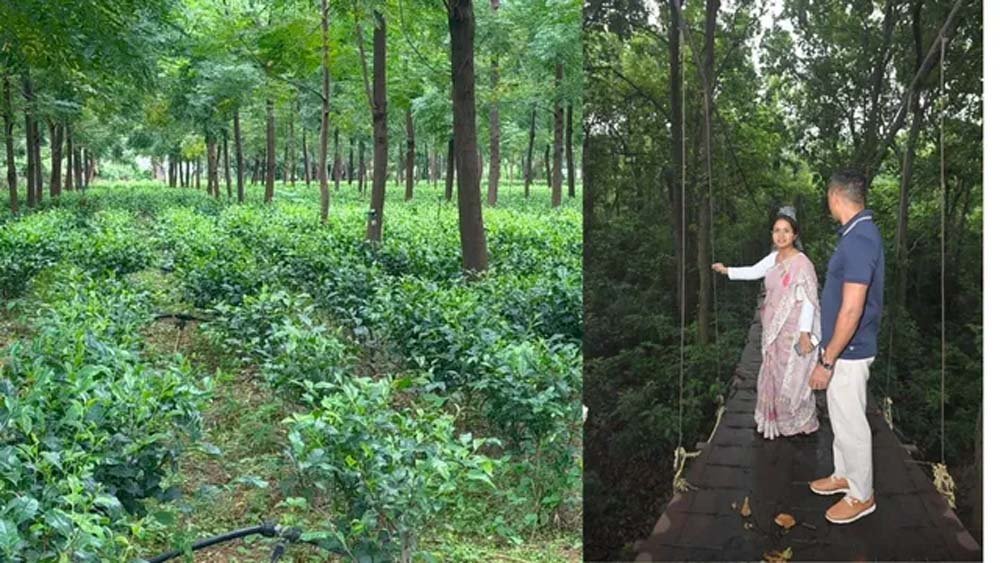 हजारीबाग का डेमोटांड फार्म बनेगा एग्रो टूरिज्म केंद्र, किसानों को मिलेगा प्रशिक्षण हजारीबाग का डेमोटांड फार्म बनेगा एग्रो टूरिज्म केंद्र, किसानों को मिलेगा प्रशिक्षण