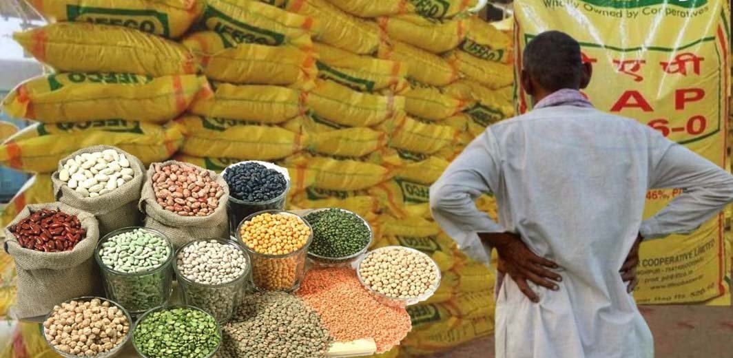 राजस्थान में खाद-बीज कारोबार आसान, उर्वरक लाइसेंस के लिए आयु सीमा खत्म राजस्थान में खाद-बीज कारोबार आसान, उर्वरक लाइसेंस के लिए आयु सीमा खत्म
