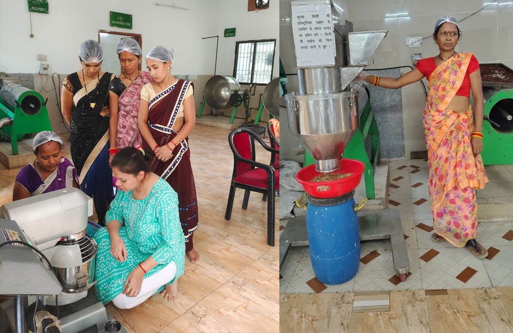 महुआ से बदली महिलाओं की तकदीर, वन धन योजना ने दी आत्मनिर्भरता की नई पहचान महुआ से बदली महिलाओं की तकदीर, वन धन योजना ने दी आत्मनिर्भरता की नई पहचान