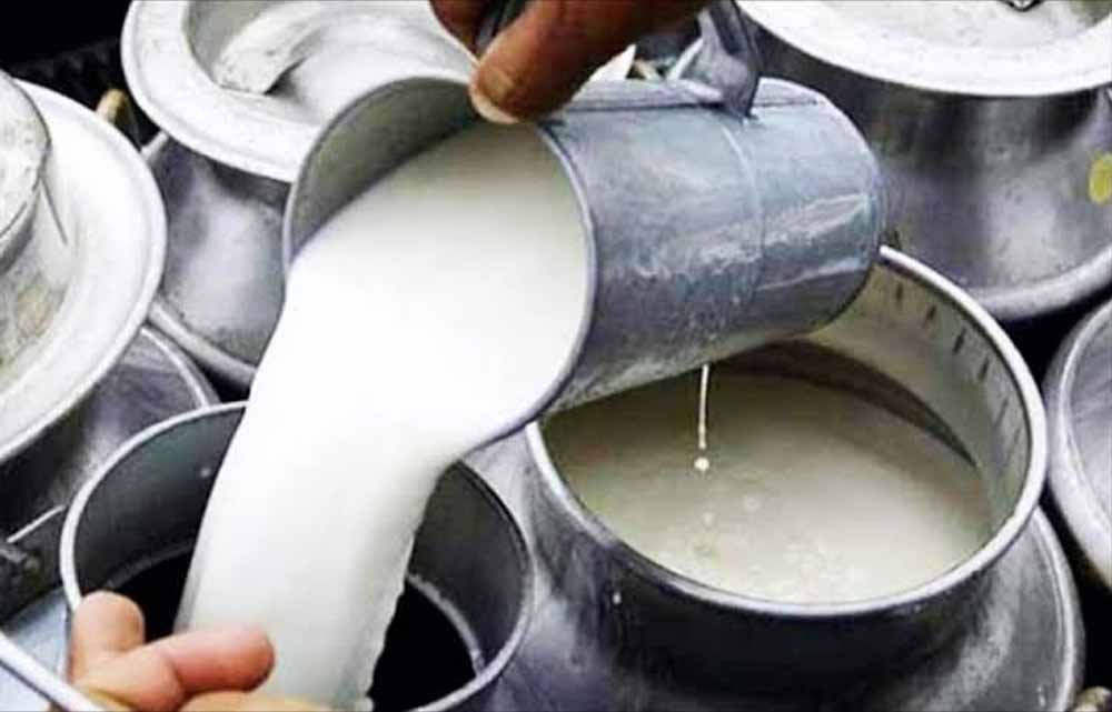 CG में मिलावटखोरों पर सख्त हुए स्वास्थ्य मंत्री, दूध-दही और मक्खन में गड़बड़ी करने वालों को चेतावनी CG में मिलावटखोरों पर सख्त हुए स्वास्थ्य मंत्री, दूध-दही और मक्खन में गड़बड़ी करने वालों को चेतावनी