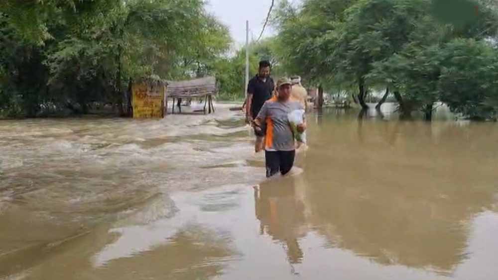 पटियाला के घनौर में फिर घग्गर का खौफ, सड़क पर साढ़े 3 फीट पानी से मचा हड़कंप पटियाला के घनौर में फिर घग्गर का खौफ, सड़क पर साढ़े 3 फीट पानी से मचा हड़कंप