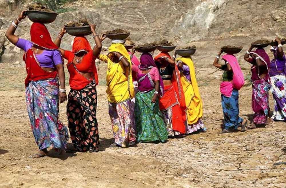 पंजाब में मनरेगा पर बड़ा एक्शन, 8 लाख जॉब कार्ड निरस्त, 14 लाख श्रमिक बाहर पंजाब में मनरेगा पर बड़ा एक्शन, 8 लाख जॉब कार्ड निरस्त, 14 लाख श्रमिक बाहर