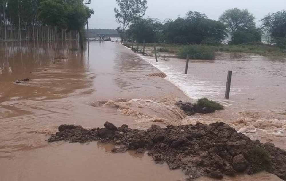 पटियाला में 3.5 घंटे में 143 MM मूसलाधार बारिश, शहर हुआ जलमग्न पटियाला में 3.5 घंटे में 143 MM मूसलाधार बारिश, शहर हुआ जलमग्न