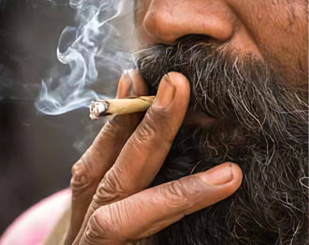 Punjab के गुरुद्वारा साहिब में ग्रंथी के बीड़ी पीने पर हंगामा, बैग से बीड़ी-सिगरेट और तंबाकू बरामद Punjab के गुरुद्वारा साहिब में ग्रंथी के बीड़ी पीने पर हंगामा, बैग से बीड़ी-सिगरेट और तंबाकू बरामद