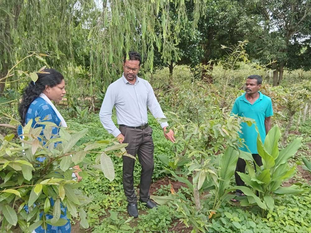 सचिव ग्रामोद्योग राजेश सिंह राणा द्वारा रेशम एवं धागाकरण केन्द्रों का किया गया निरीक्षण सचिव ग्रामोद्योग राजेश सिंह राणा द्वारा रेशम एवं धागाकरण केन्द्रों का किया गया निरीक्षण