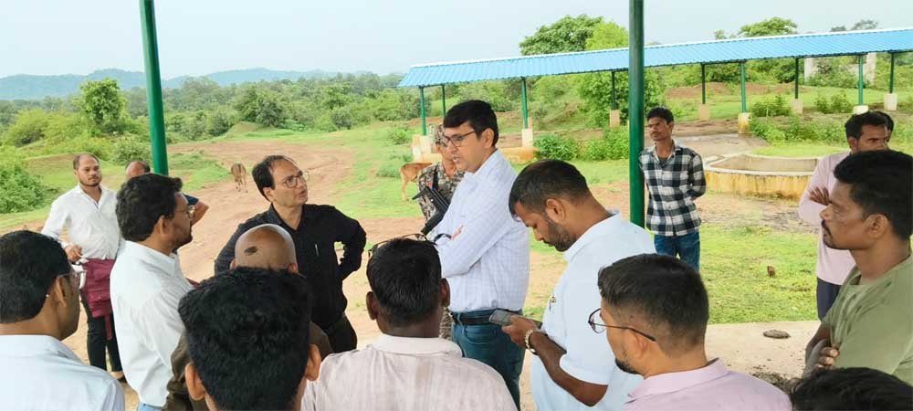 कलेक्टर ने निर्माणाधीन गौ अभ्यारण्य का किया निरीक्षण कलेक्टर ने निर्माणाधीन गौ अभ्यारण्य का किया निरीक्षण