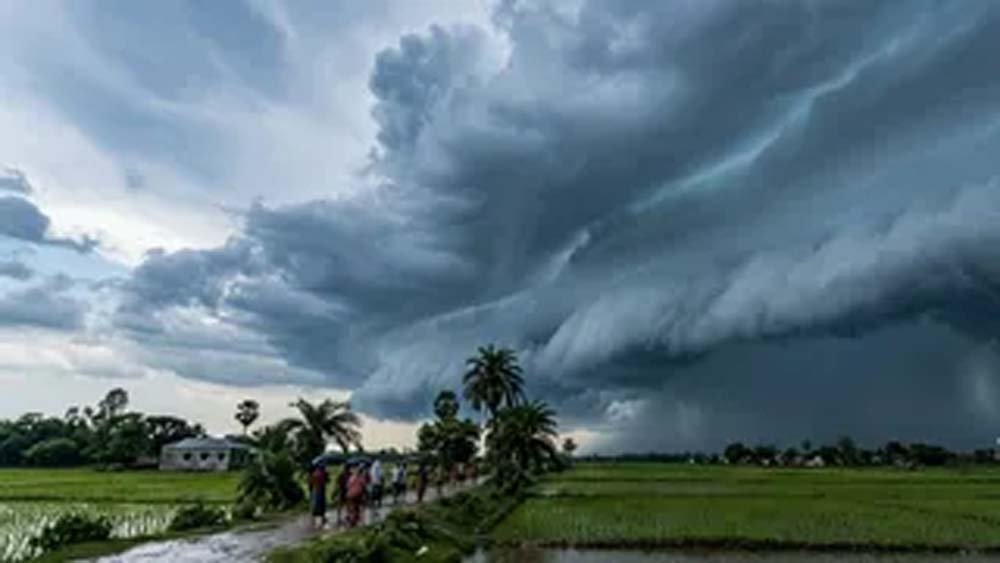 बिहार में झमाझम बारिश, पटना समेत 16 जिलों में बरसे बादल, 5 जिलों में अलर्ट बिहार में झमाझम बारिश, पटना समेत 16 जिलों में बरसे बादल, 5 जिलों में अलर्ट