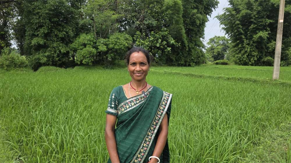 बिहान से आत्मनिर्भर बनीं शकुंतला राजवाड़े, कम लागत की खेती से बढ़ा आय का आधार बिहान से आत्मनिर्भर बनीं शकुंतला राजवाड़े, कम लागत की खेती से बढ़ा आय का आधार